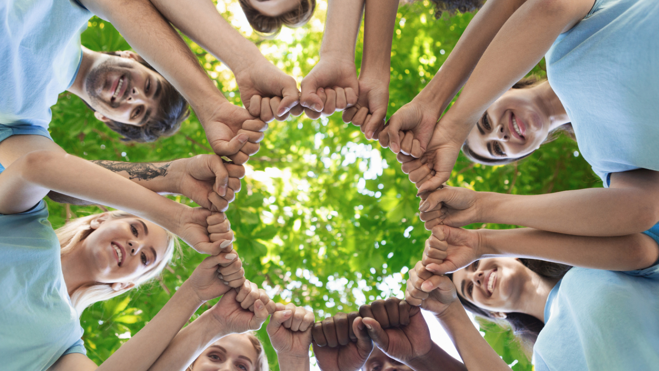 Feu de camps et chamallows